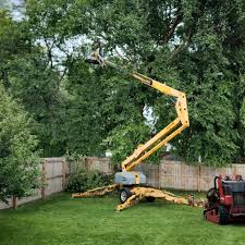 Best Tree Preservation Services  in Searles Valley, CA